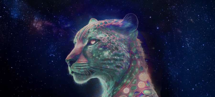 Sydney Opera House - Basement Jaxx