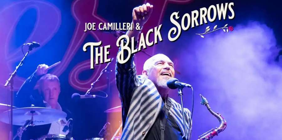 The Art House - The Black Sorrows